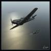 Bf109_paire.jpg