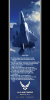 USAF-ABOVEALL.png