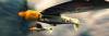 m4_FuryPair003_seabats2_0015.jpg