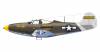 P39Q_71TRS_Site.jpg